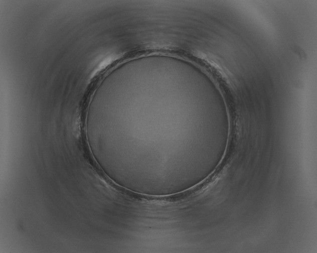 X0000116631306200912241804