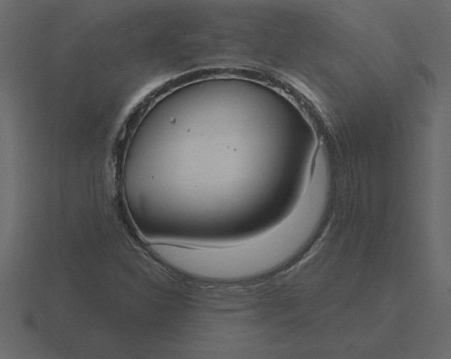 X0000116631310200912241804