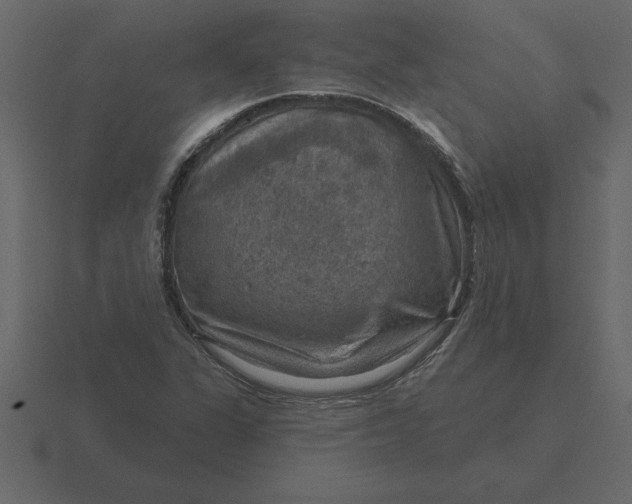 X0000116631311200912241804