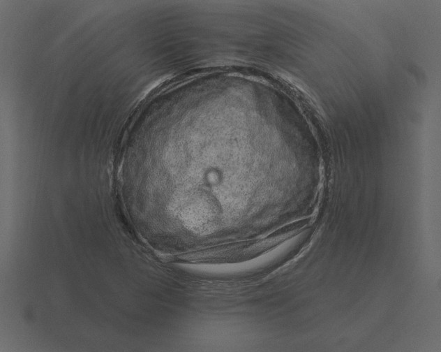 X0000116631313200912241804