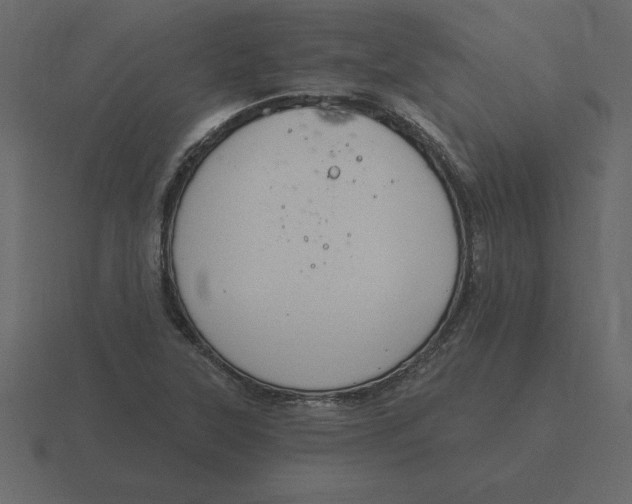 X0000116631315200912241805