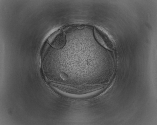 X0000116631317200912241805