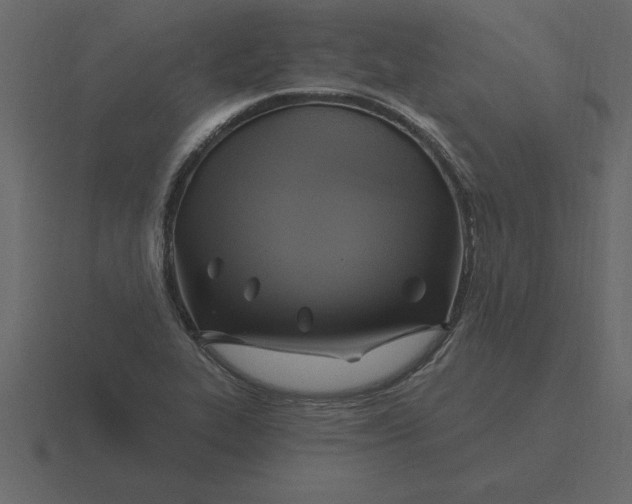 X0000116631319200912241805