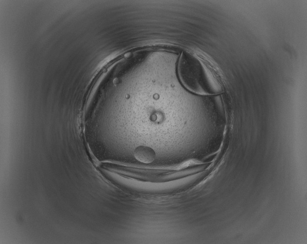 X0000116631321200912241805