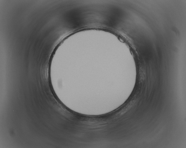 X0000116631322200912241805