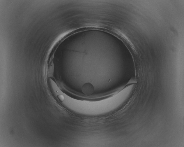 X0000116631323200912241805