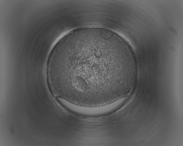 X0000116631325200912241805