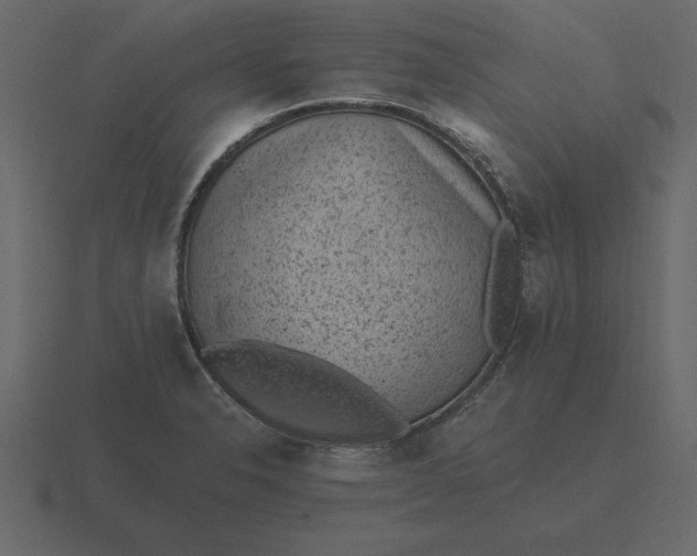 X0000116631326200912241805