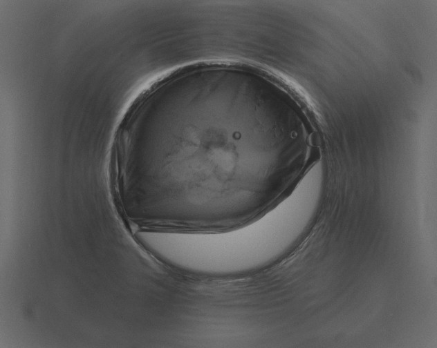 X0000116631327200912241805