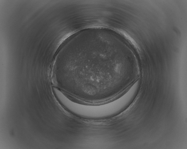 X0000116631329200912241805