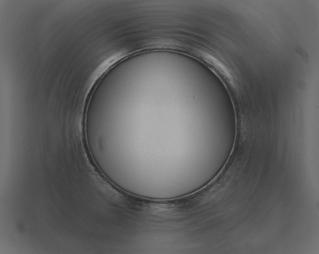 X0000116631330200912241805