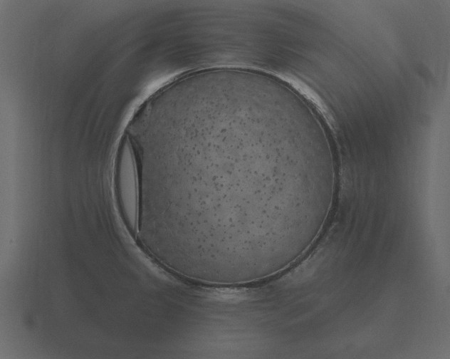 X0000116631333200912241805