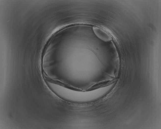 X0000116631334200912241805