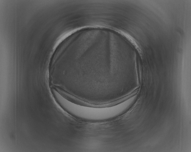 X0000116631335200912241805