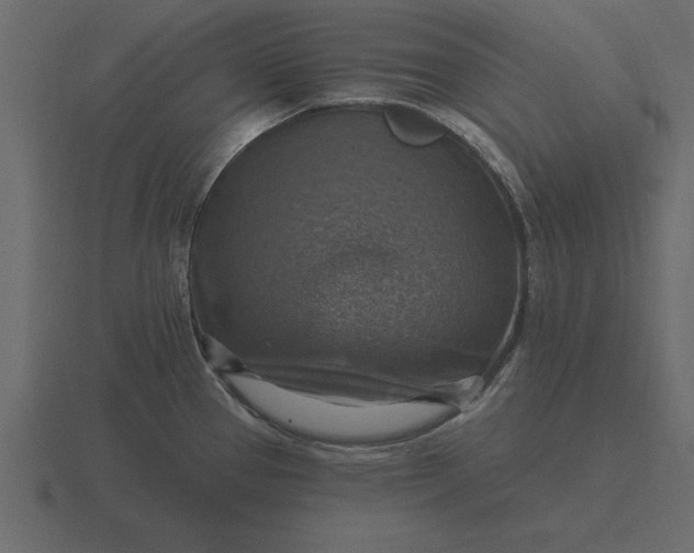 X0000116631337200912241805