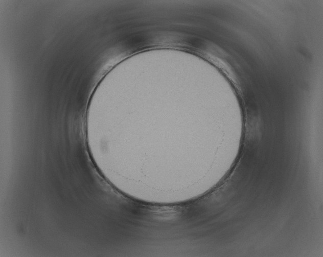 X0000116631338200912241805