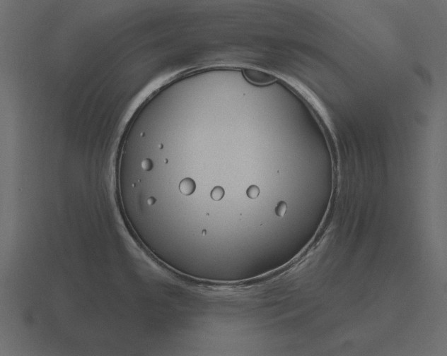 X0000116631341200912241805