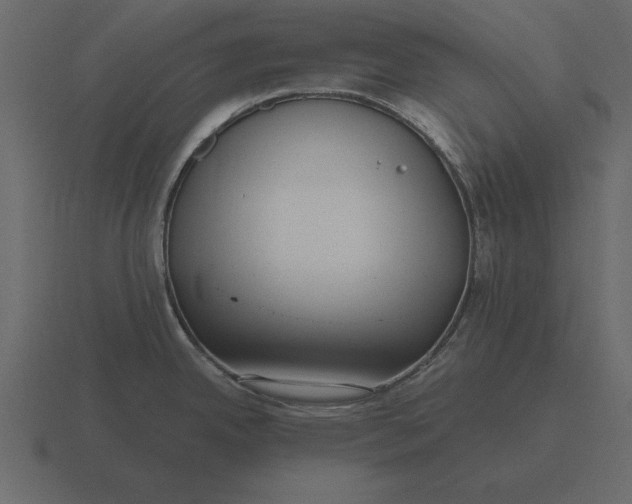 X0000116631342200912241805