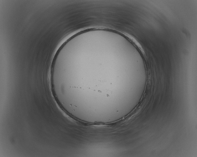 X0000116631343200912241805