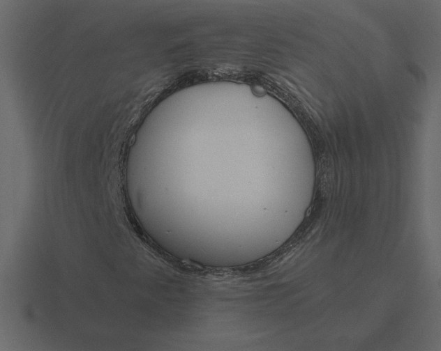 X0000116631345200912241804