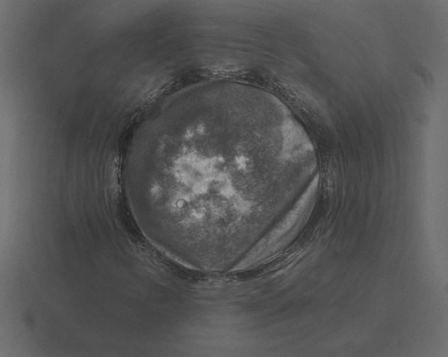 X0000116631346200912241804