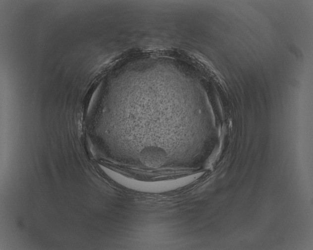 X0000116631348200912241804