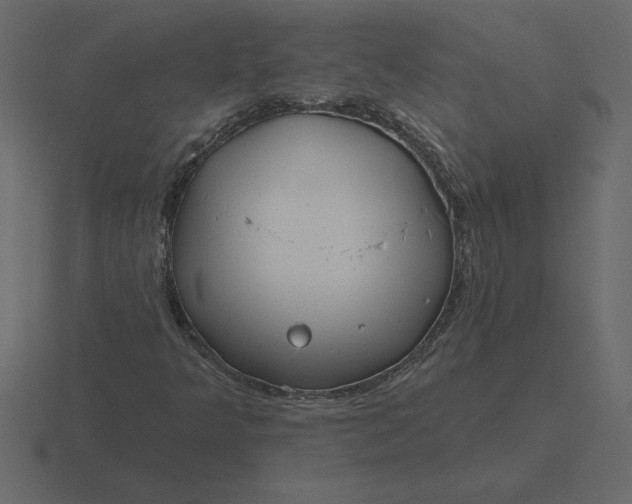 X0000116631349200912241804