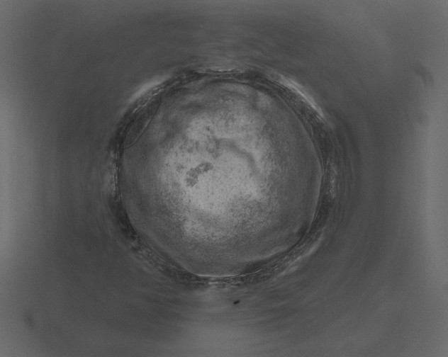 X0000116631350200912241804