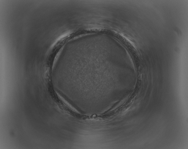 X0000116631351200912241804