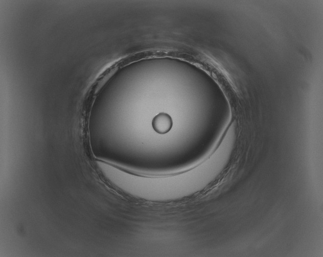 X0000116631352200912241804