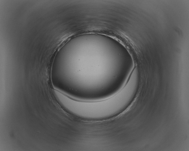 X0000116631353200912241804