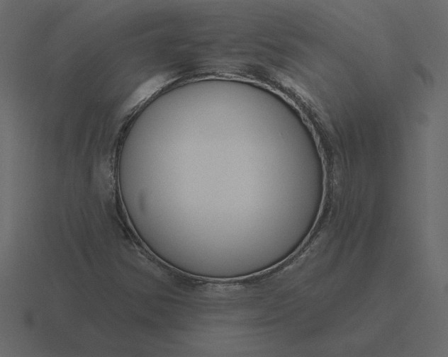 X0000116631354200912241804