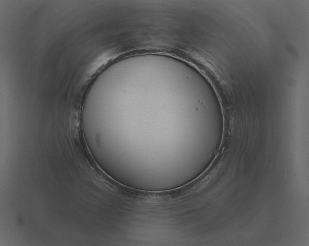 X0000116631355200912241804