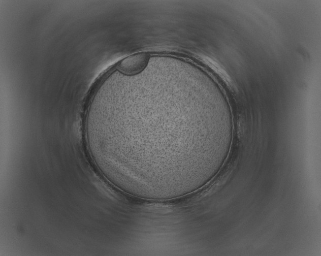 X0000116631356200912241804