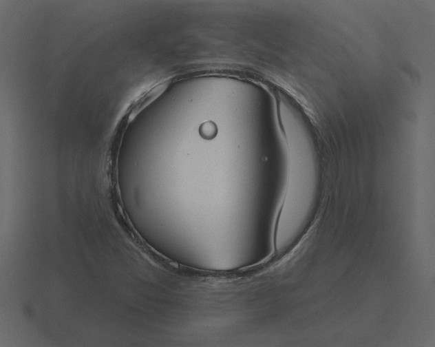 X0000116631357200912241804