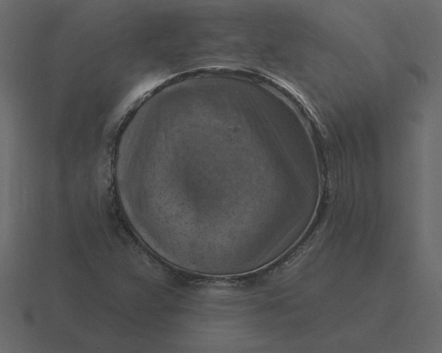 X0000116631359200912241804