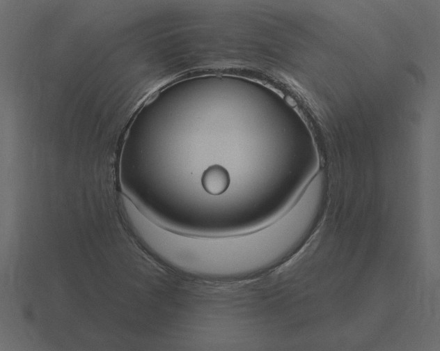 X0000116631361200912241804