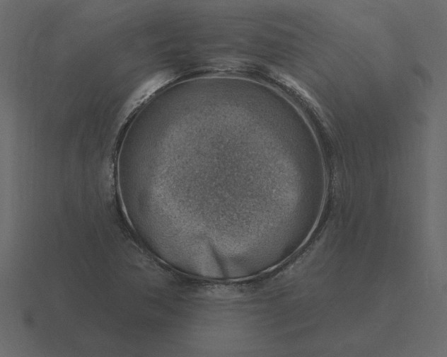 X0000116631362200912241804