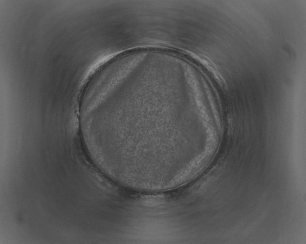 X0000116631363200912241804