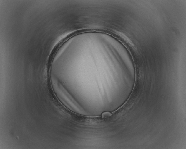 X0000116631364200912241804