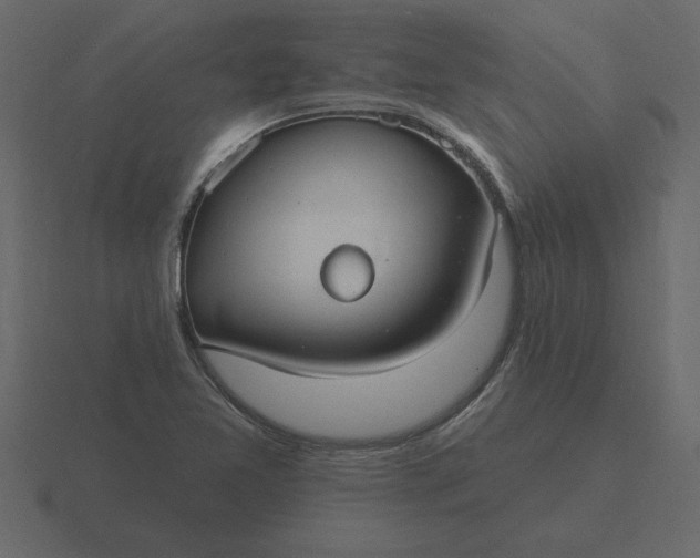 X0000116631365200912241804