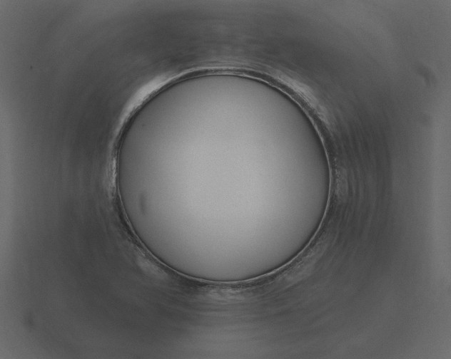 X0000116631366200912241804