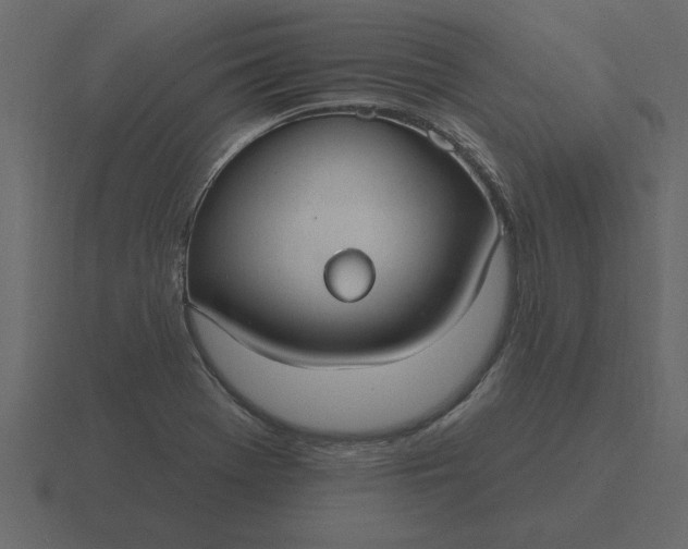 X0000116631369200912241804