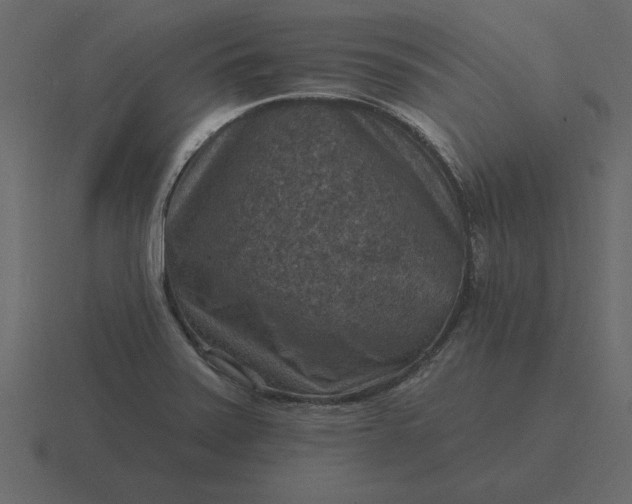 X0000116631371200912241804