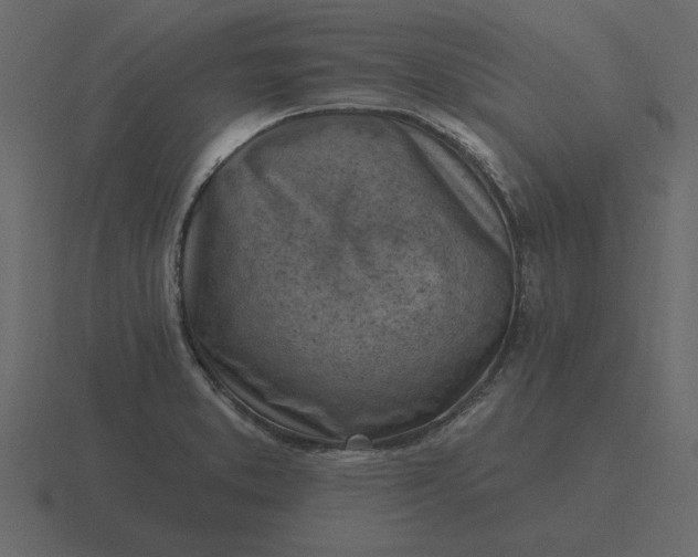 X0000116631373200912241804