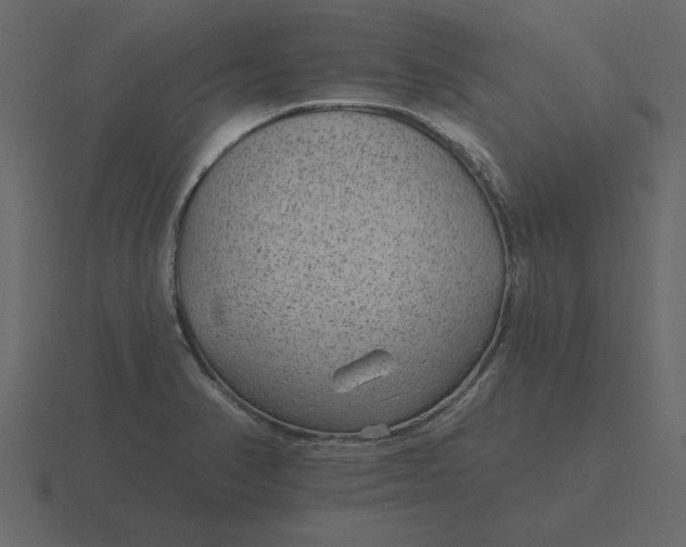 X0000116631374200912241804