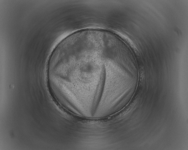 X0000116631375200912241804