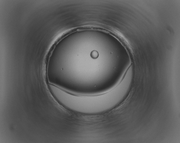 X0000116631376200912241804