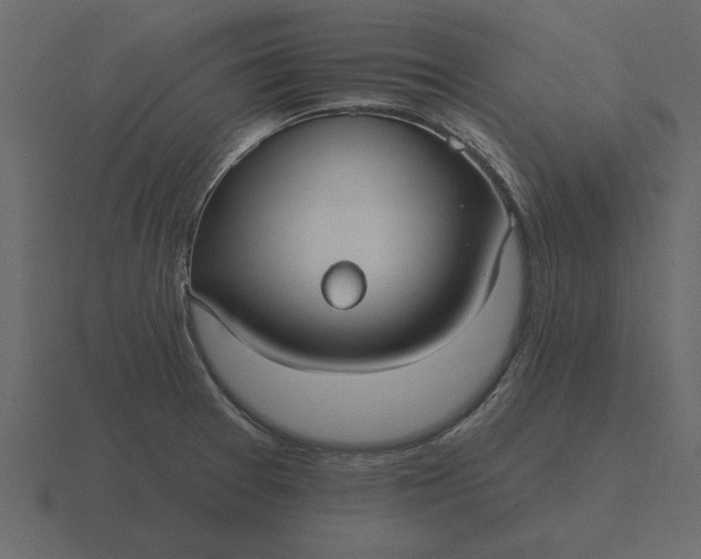 X0000116631377200912241804