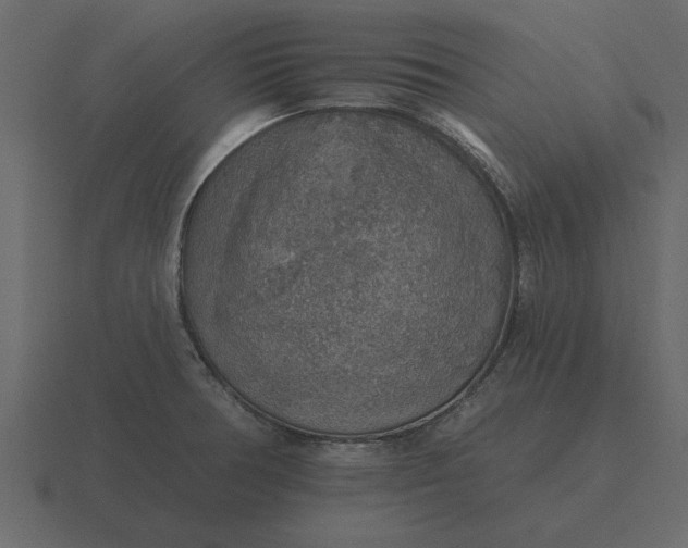 X0000116631378200912241804